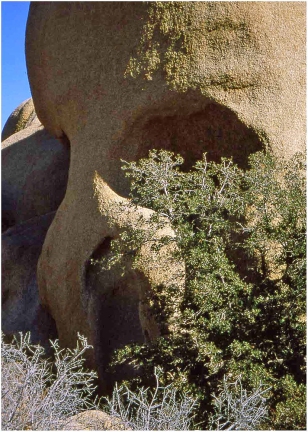 Skull Rock, Joshua Tree 1999